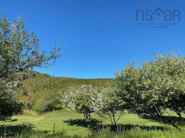 $95,000.00: Cabot Trail & Pembroke Lake Road, Grand Étang