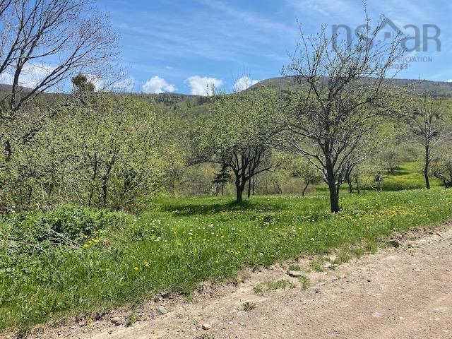 $95,000.00: Cabot Trail & Pembroke Lake Road, Grand Étang