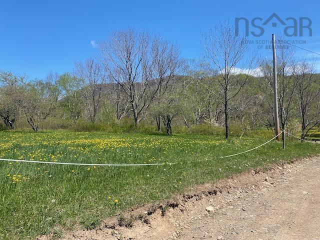 $95,000.00: Cabot Trail & Pembroke Lake Road, Grand Étang