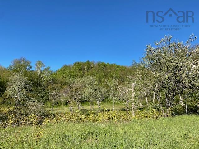 $95,000.00: Cabot Trail & Pembroke Lake Road, Grand Étang