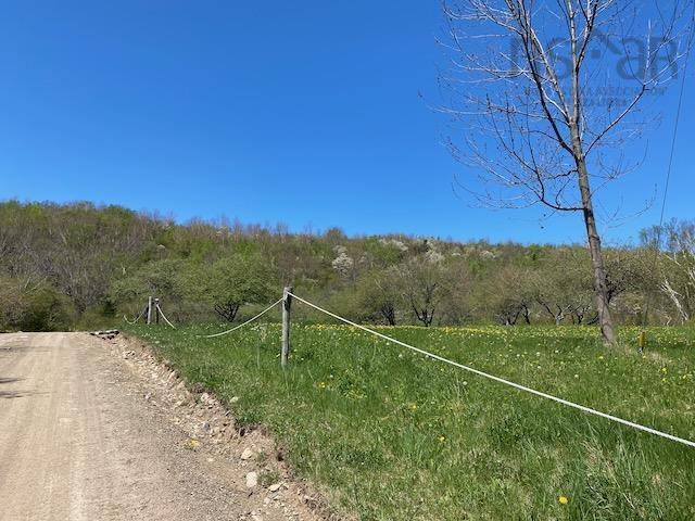 $95,000.00: Cabot Trail & Pembroke Lake Road, Grand Étang