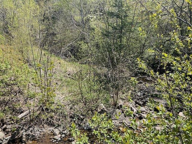 $95,000.00: Cabot Trail & Pembroke Lake Road, Grand Étang