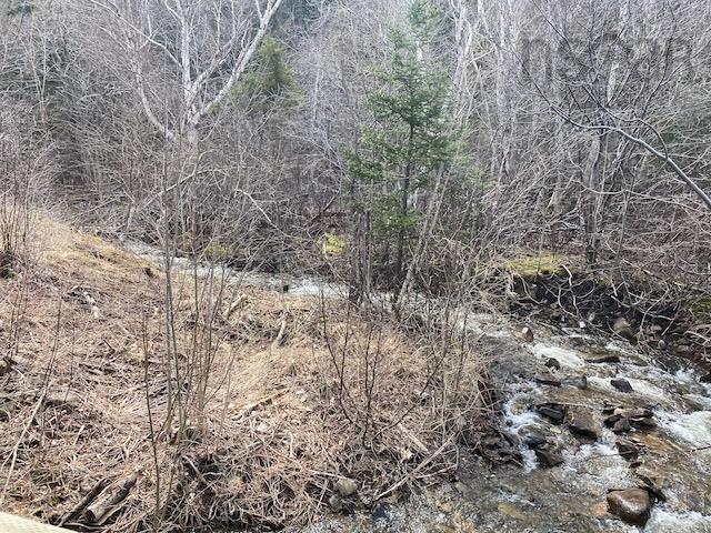 $95,000.00: Cabot Trail & Pembroke Lake Road, Grand Étang