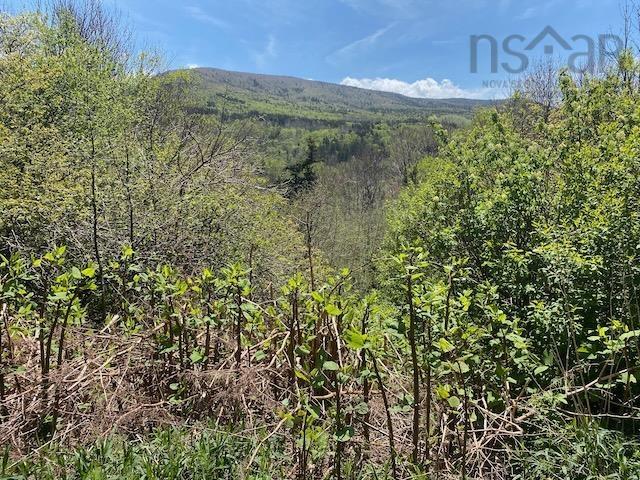 $95,000.00: Cabot Trail & Pembroke Lake Road, Grand Étang