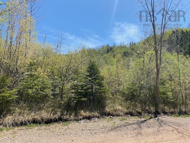 $95,000.00: Cabot Trail & Pembroke Lake Road, Grand Étang