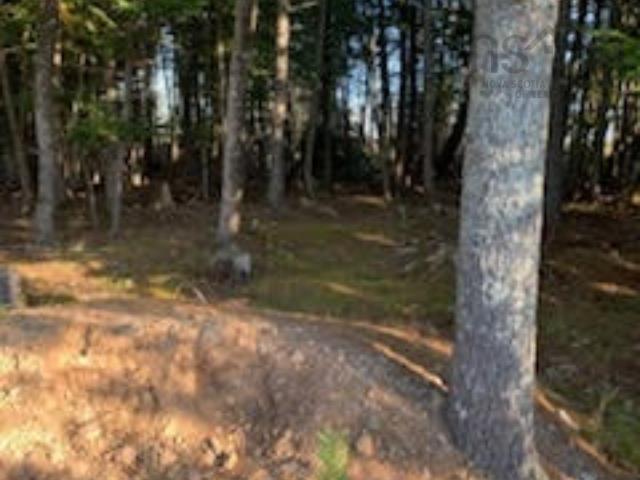 $68,999.00: 18 acres Highway 256, West Branch