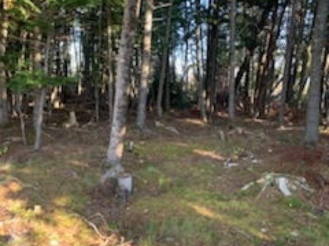 $68,999.00: 18 acres Highway 256, West Branch