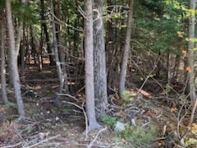 $68,999.00: 18 acres Highway 256, West Branch