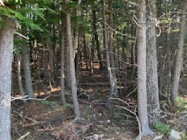 $68,999.00: 18 acres Highway 256, West Branch