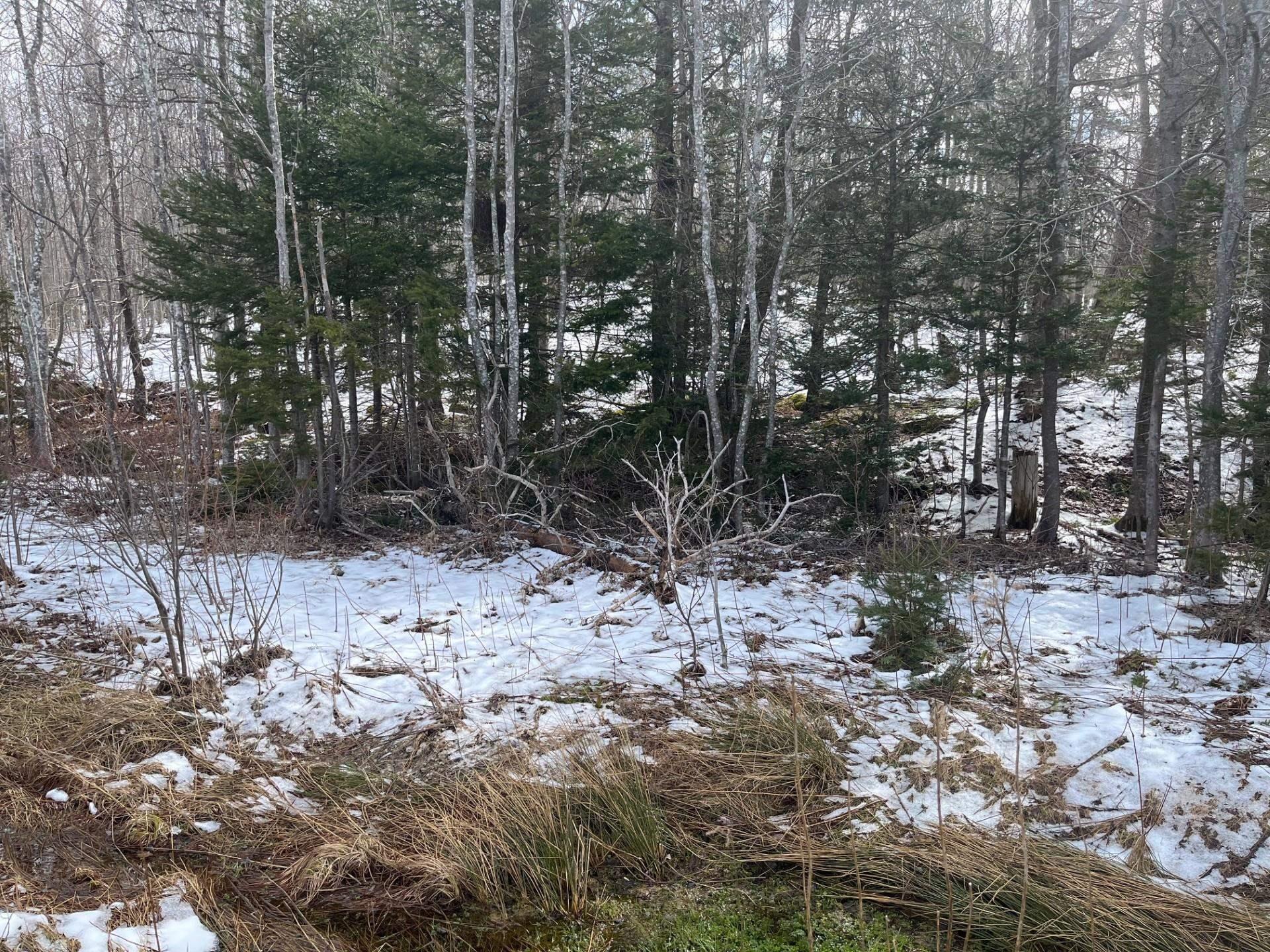 $12,000.00: Kempt Head Road, Ross Ferry