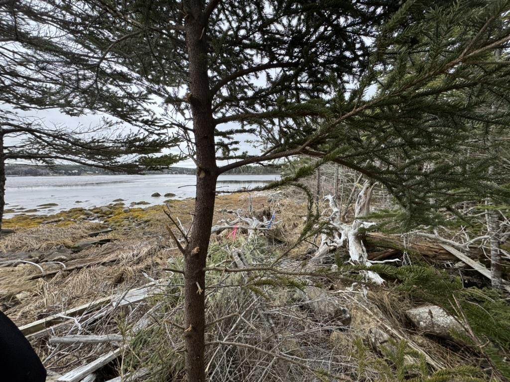 $100,000.00: Lot 4-C West Petpeswick Road, Musquodoboit Harbour