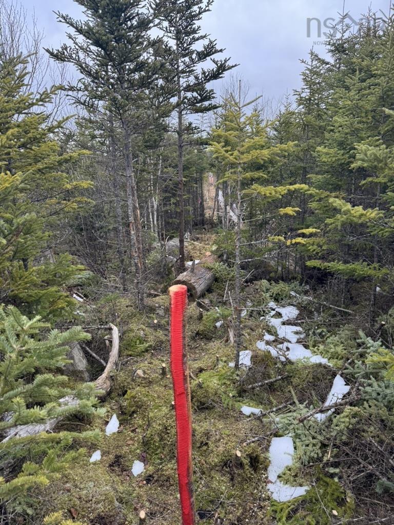 $100,000.00: Lot 4-C West Petpeswick Road, Musquodoboit Harbour