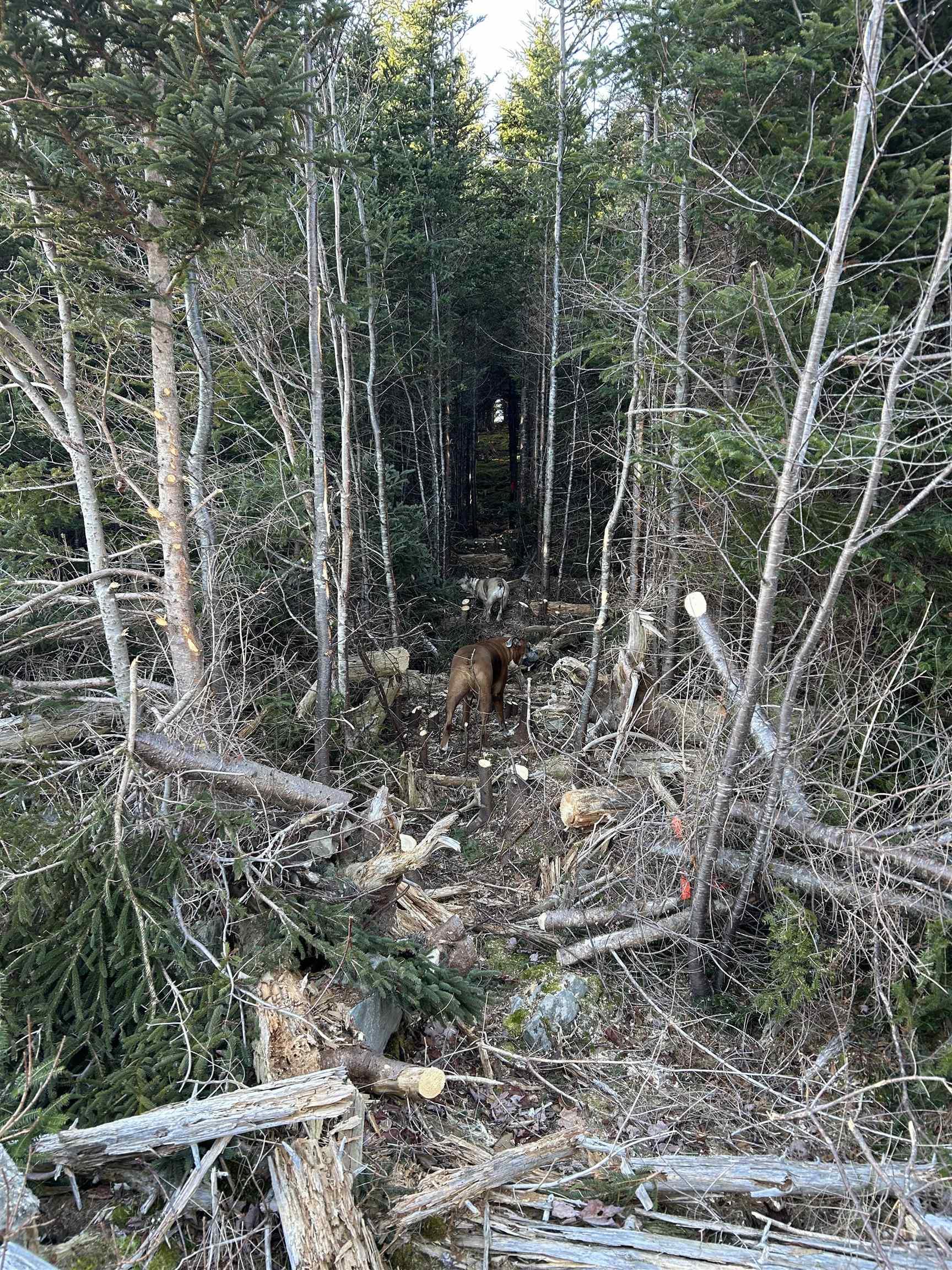 $100,000.00: Lot 4-C West Petpeswick Road, Musquodoboit Harbour