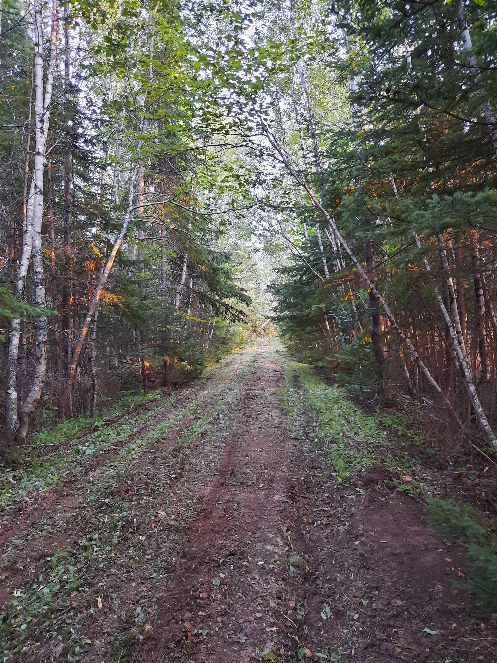 $59,900.00: Lot Heathbell Road, Scotch Hill