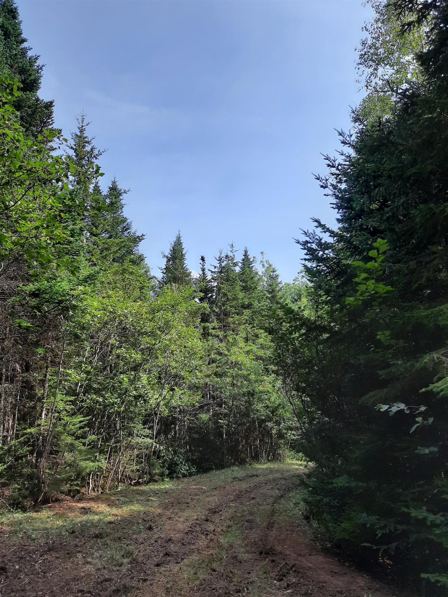 $59,900.00: Lot Heathbell Road, Scotch Hill
