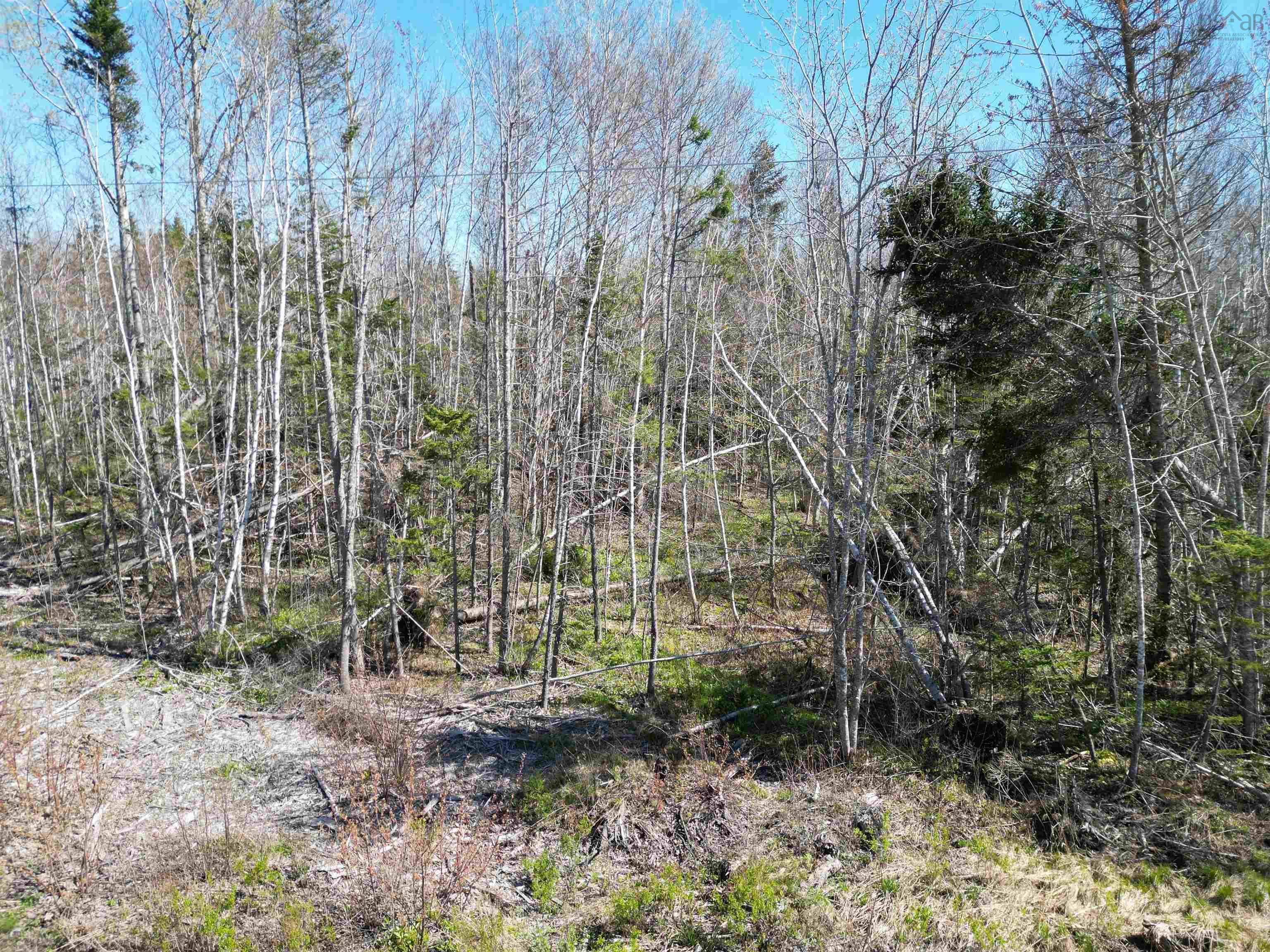 $59,900.00: Lot Heathbell Road, Scotch Hill