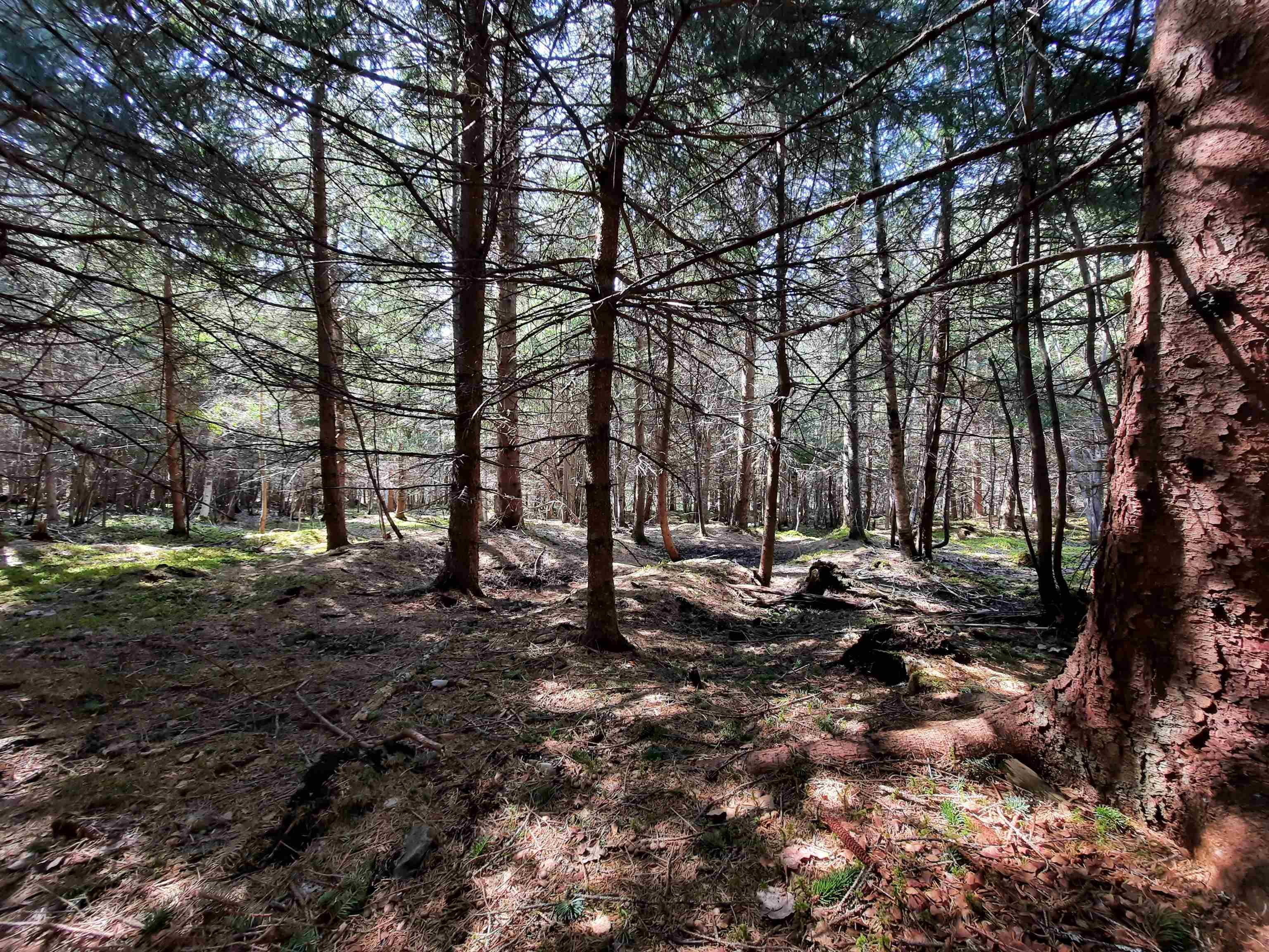 $59,900.00: Lot Heathbell Road, Scotch Hill