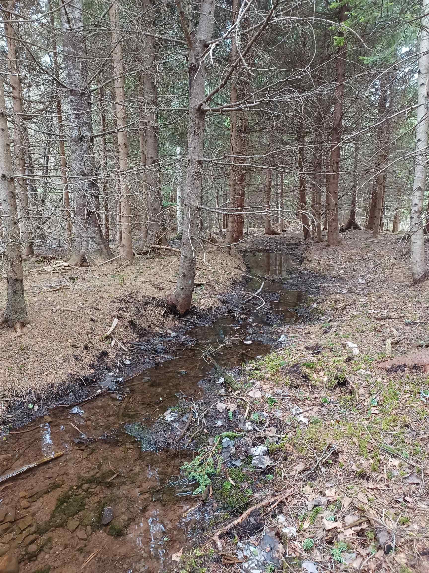 $59,900.00: Lot Heathbell Road, Scotch Hill