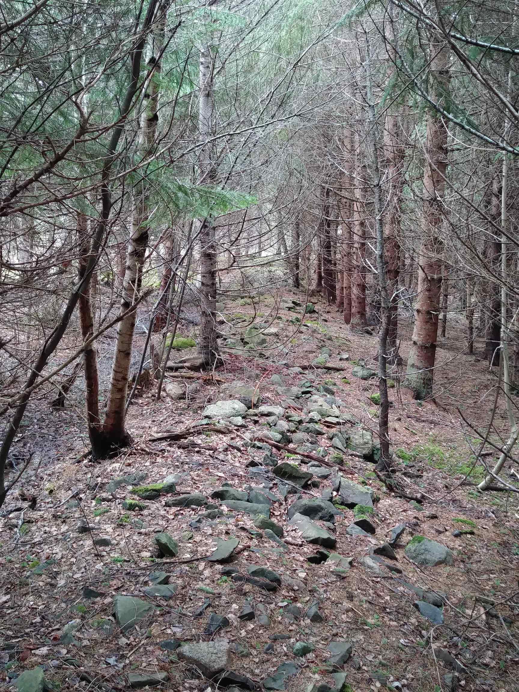 $59,900.00: Lot Heathbell Road, Scotch Hill