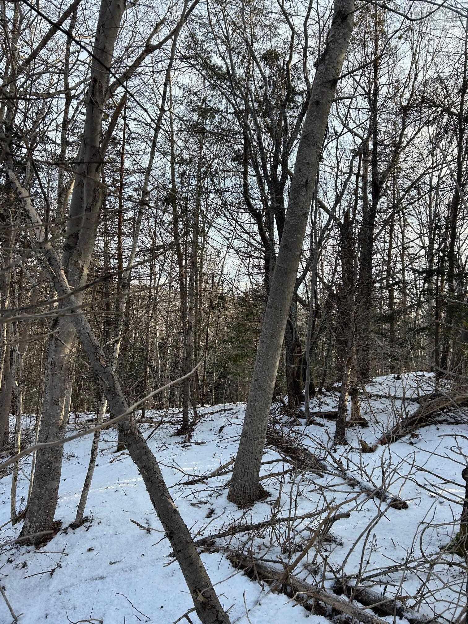 $51,900.00: B West River Station Road, Salt Springs