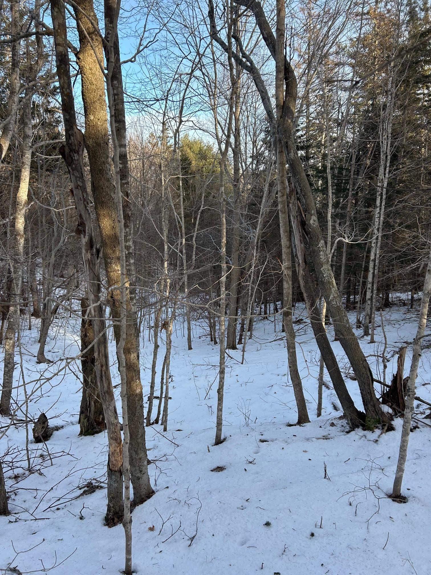 $51,900.00: B West River Station Road, Salt Springs