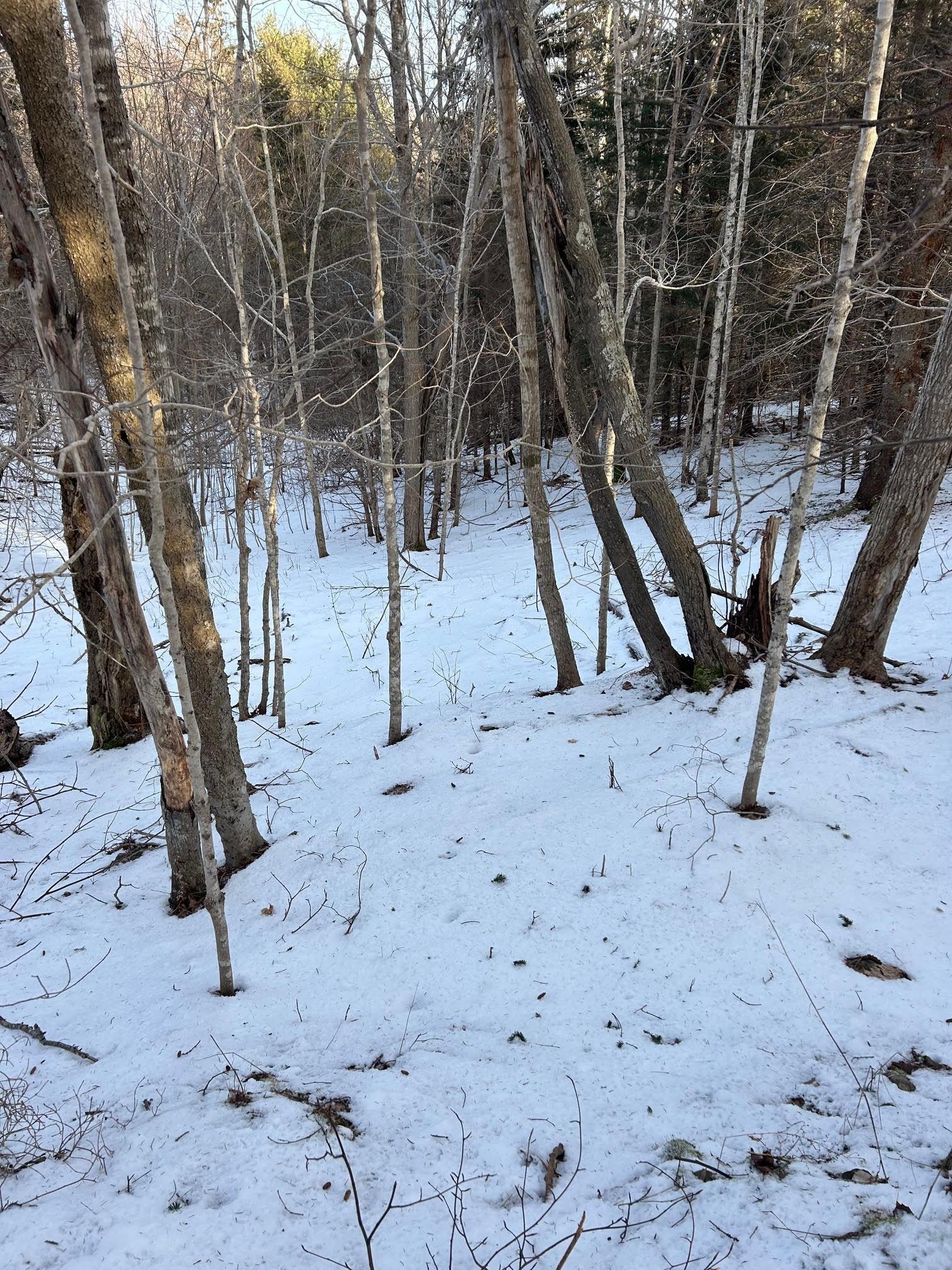 $51,900.00: B West River Station Road, Salt Springs