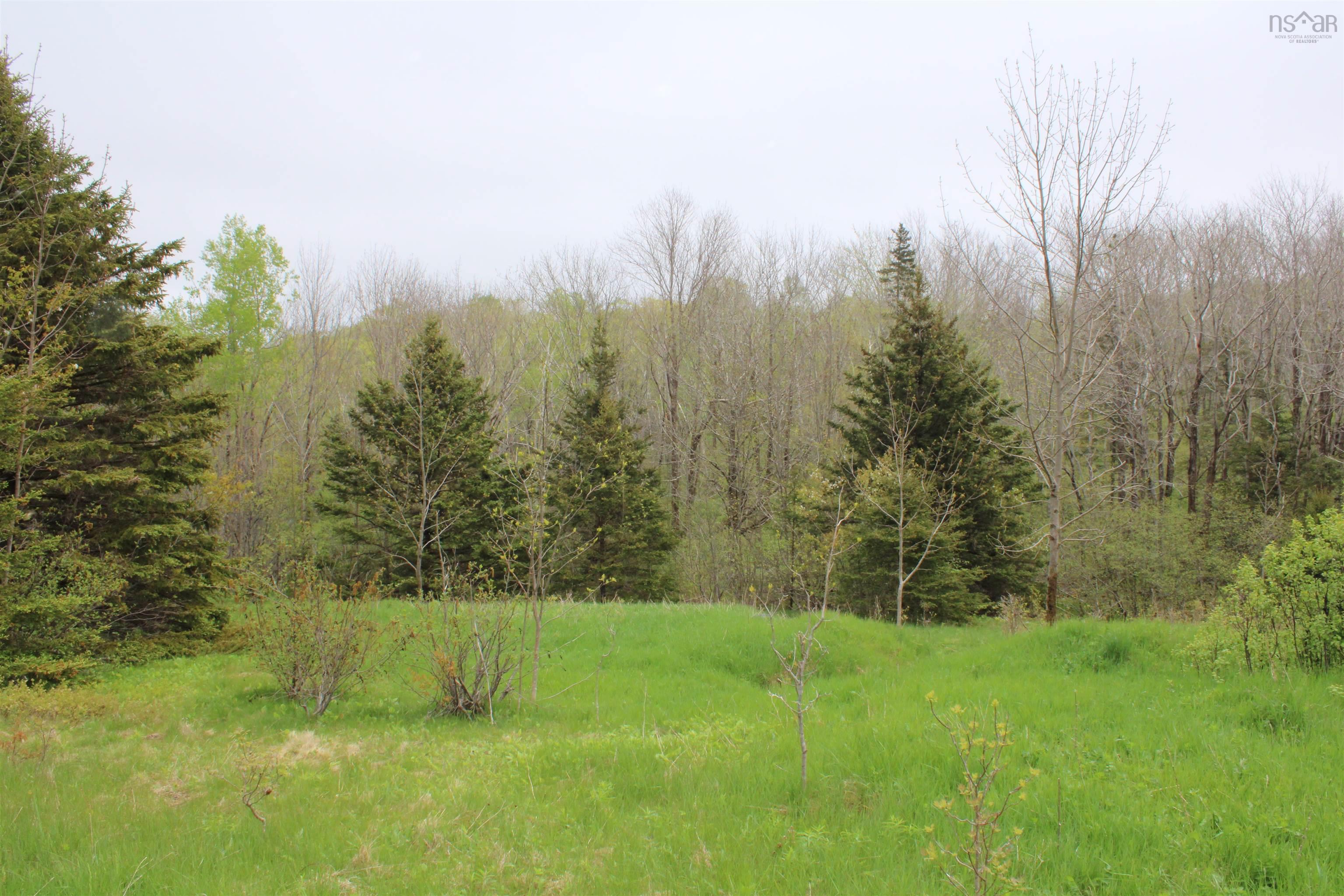 $65,000.00: Lot 1 Shaw Road, Clementsport