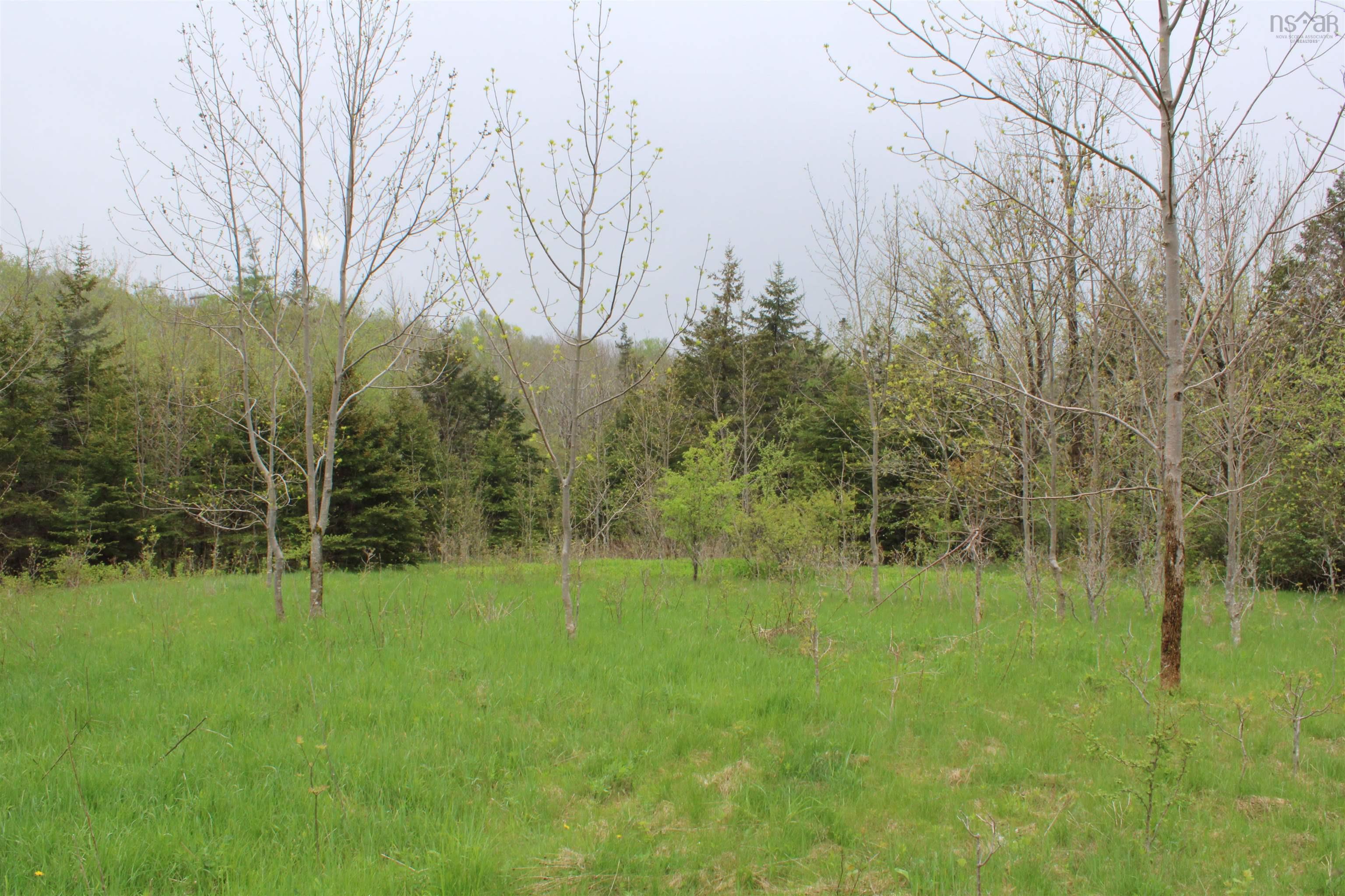 $65,000.00: Lot 1 Shaw Road, Clementsport
