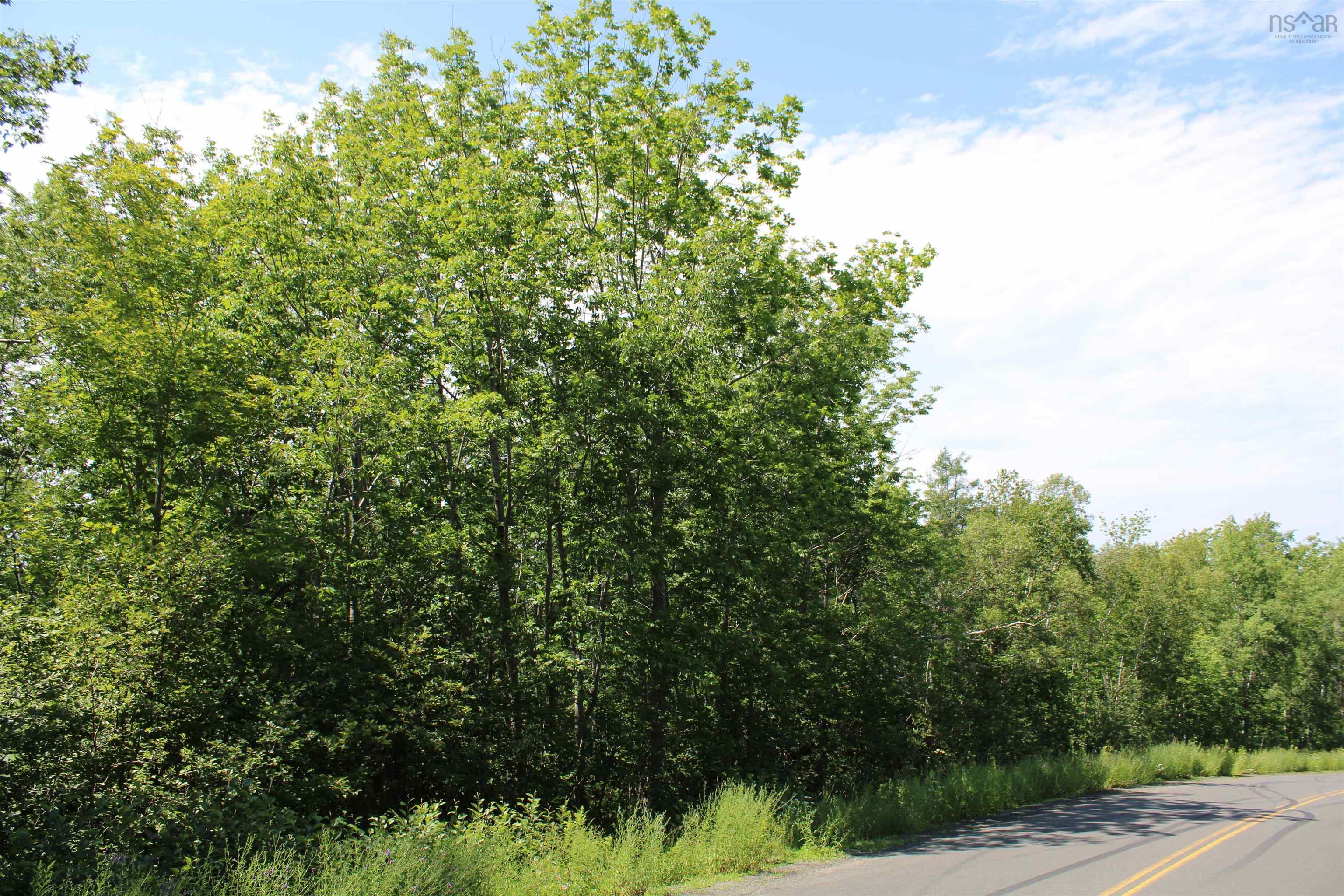 $65,000.00: Lot 1 Shaw Road, Clementsport