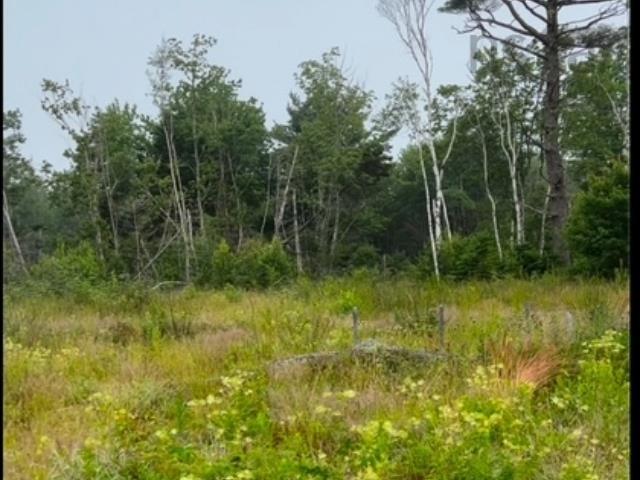 $59,000.00: Lot French Road, Plympton Station