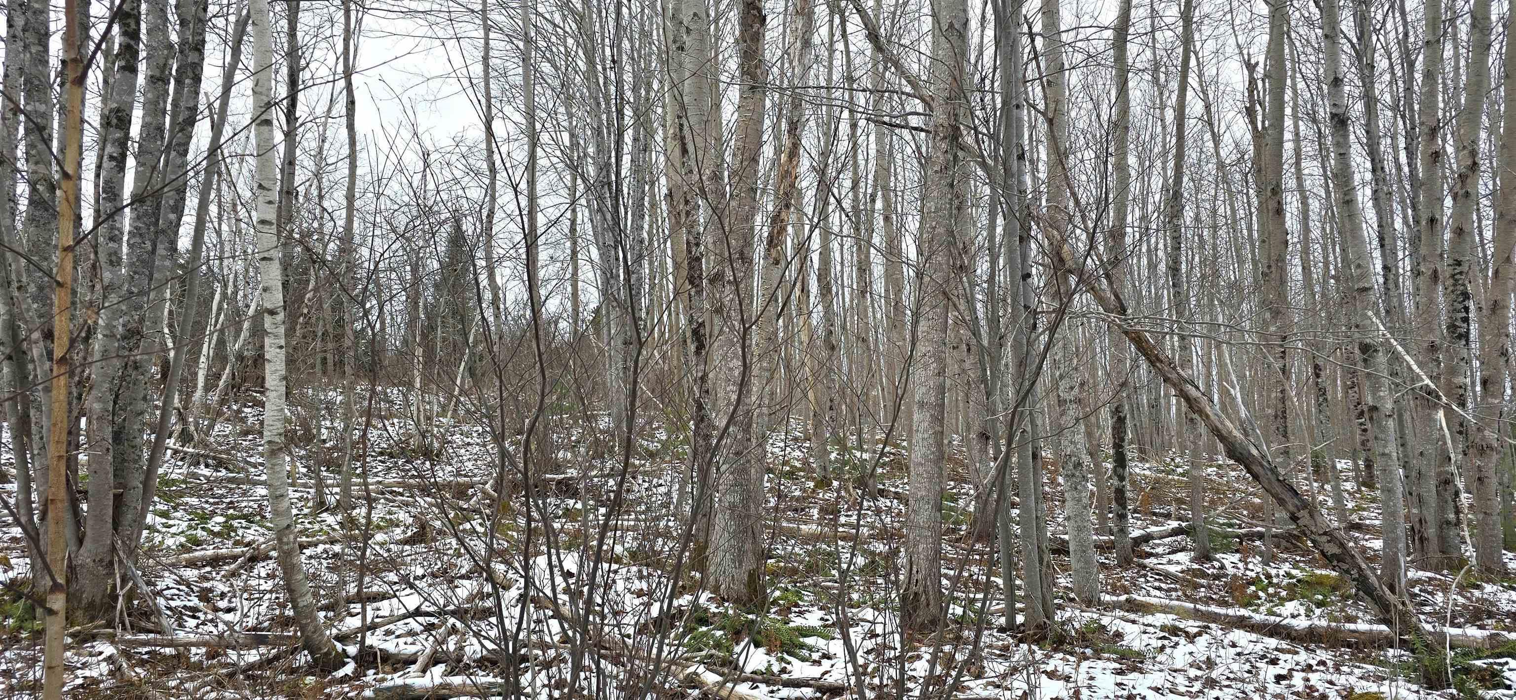 $30,000.00: Lot 102 East Clifford Road, East Clifford