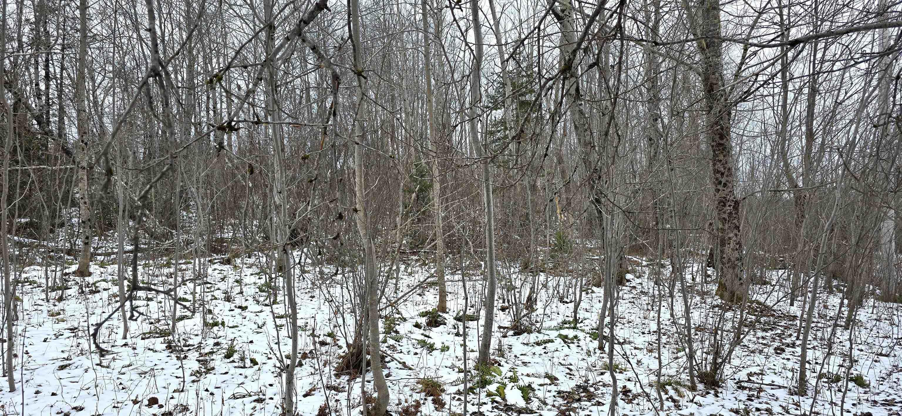 $30,000.00: Lot 102 East Clifford Road, East Clifford
