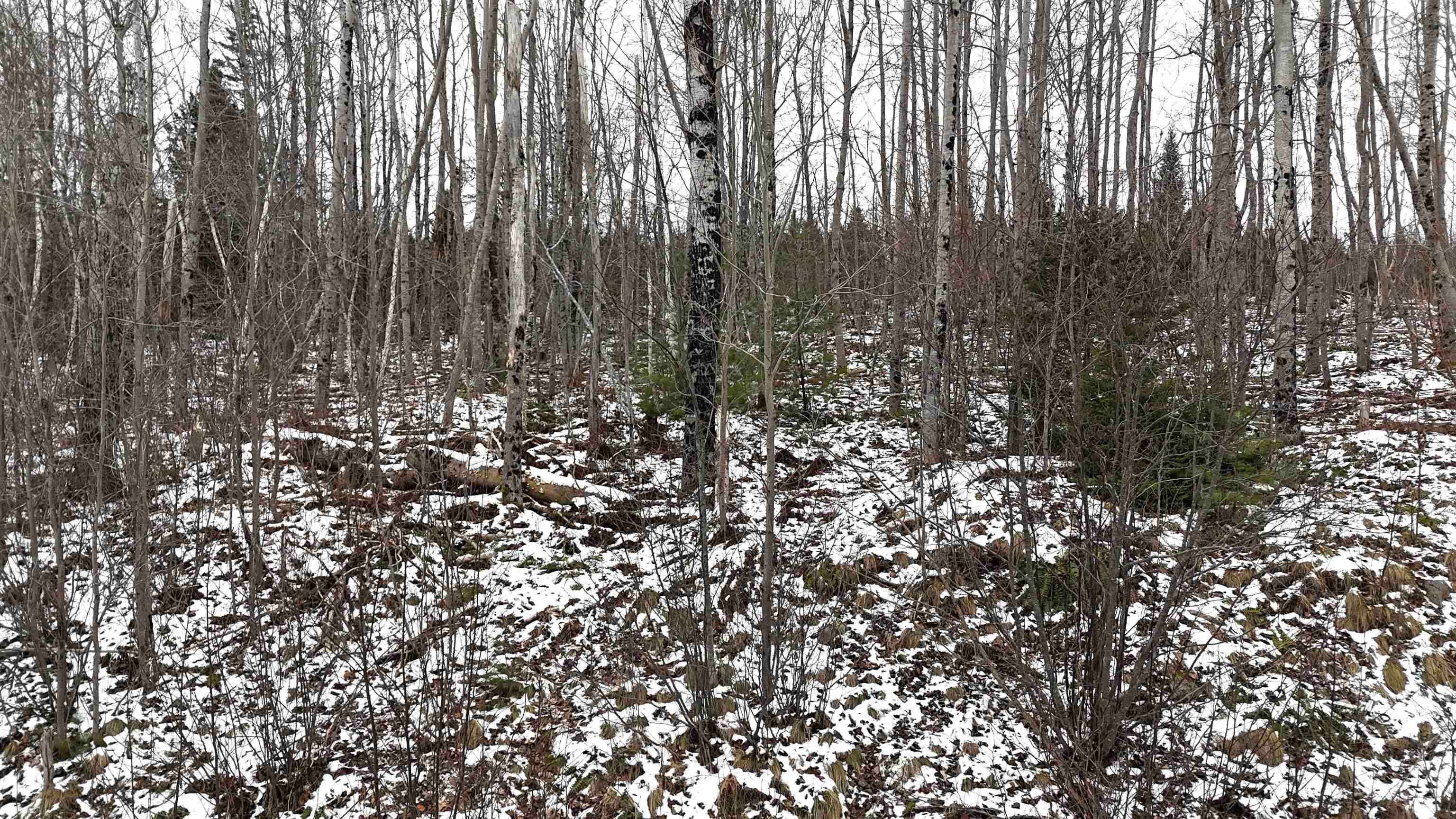 $30,000.00: Lot 102 East Clifford Road, East Clifford
