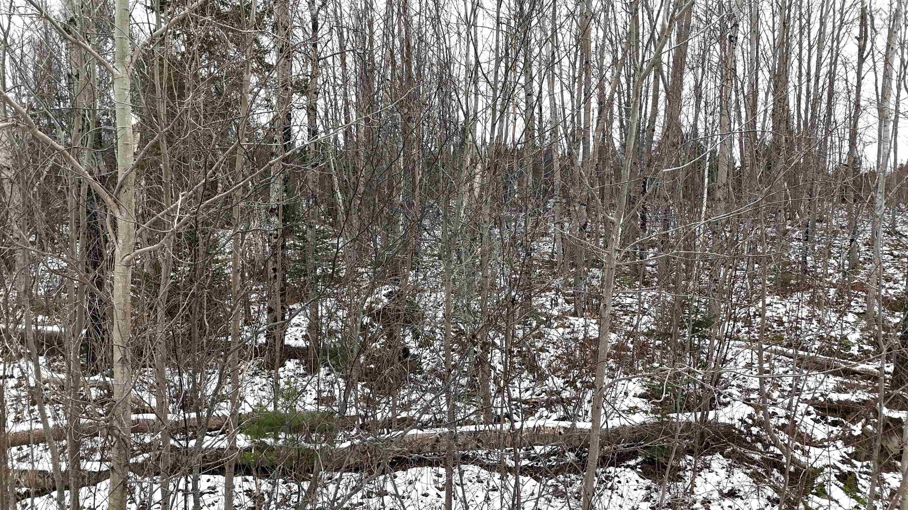 $30,000.00: Lot 102 East Clifford Road, East Clifford