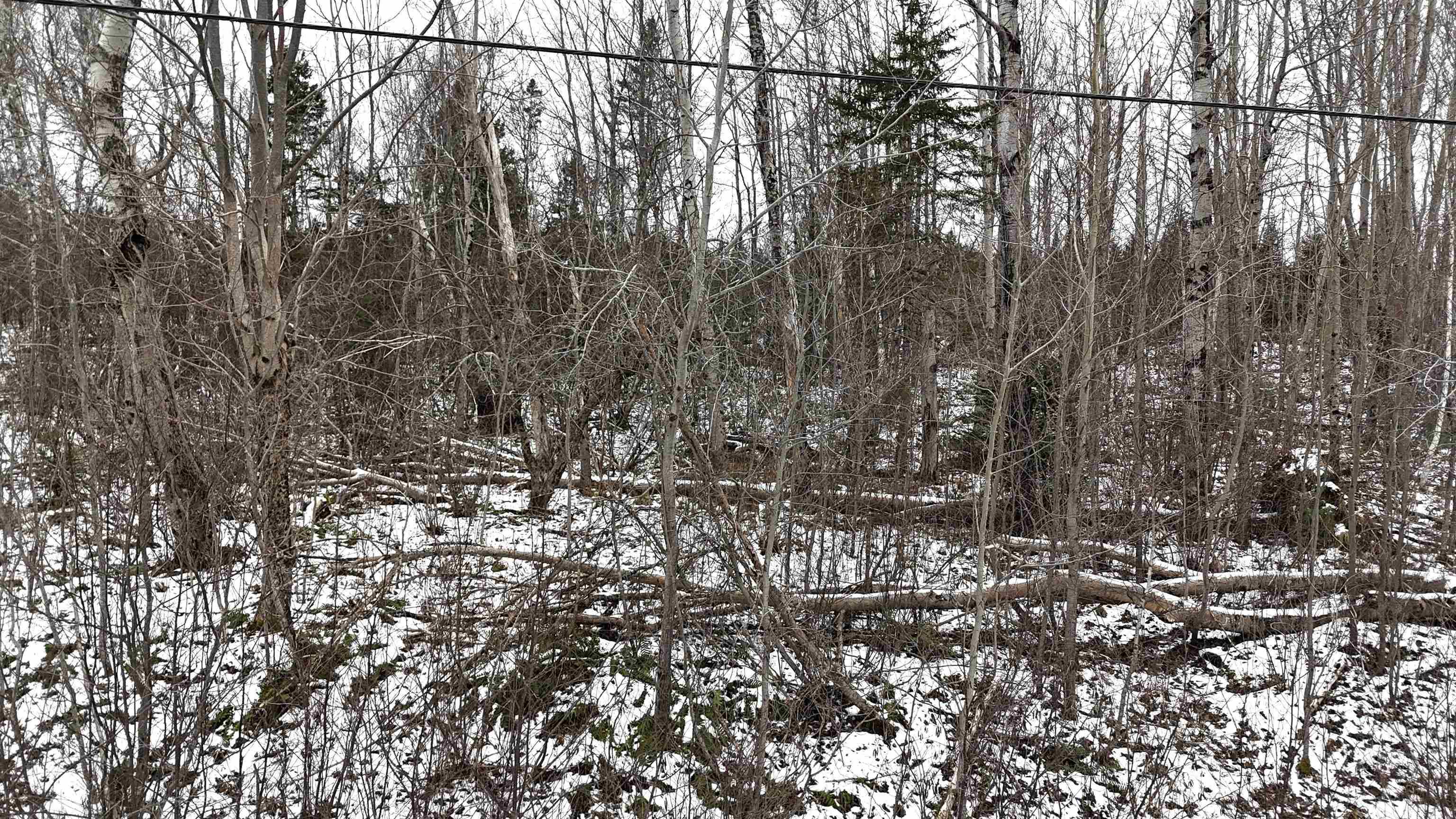 $30,000.00: Lot 102 East Clifford Road, East Clifford