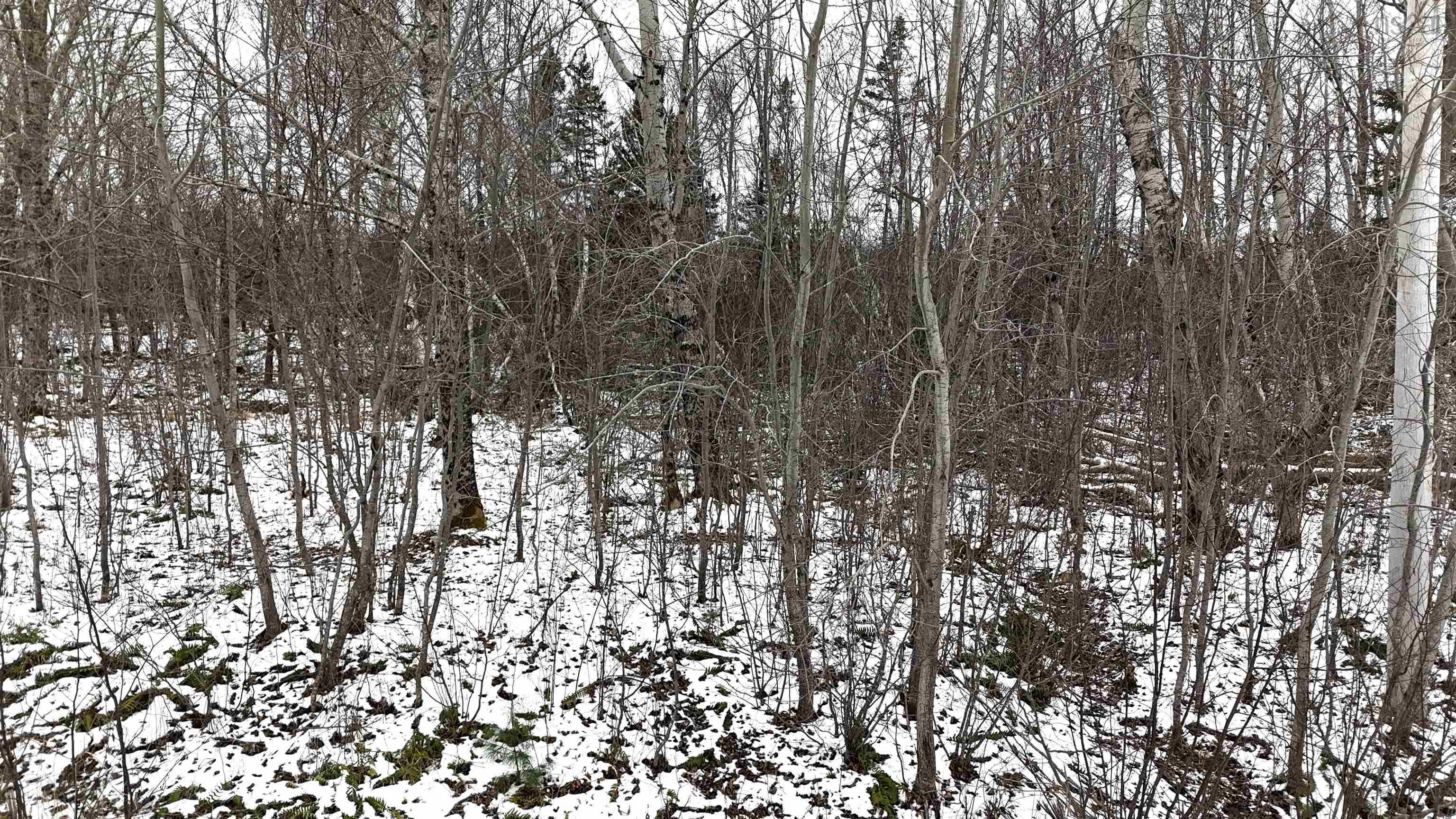 $30,000.00: Lot 102 East Clifford Road, East Clifford