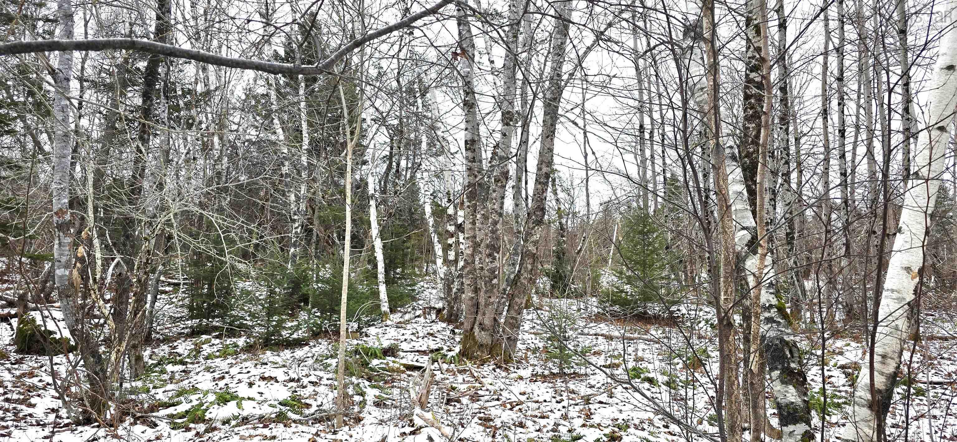 $30,000.00: Lot 102 East Clifford Road, East Clifford