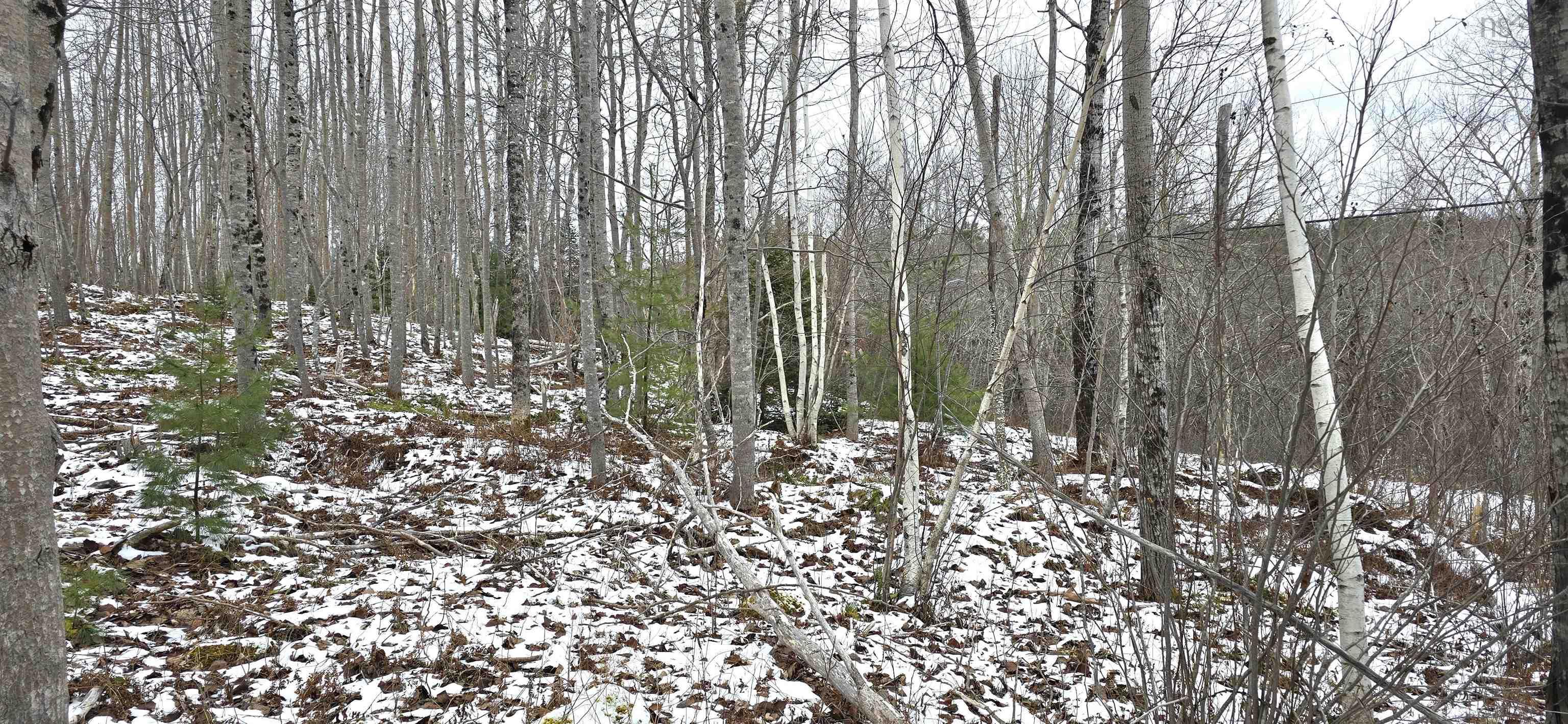$30,000.00: Lot 102 East Clifford Road, East Clifford
