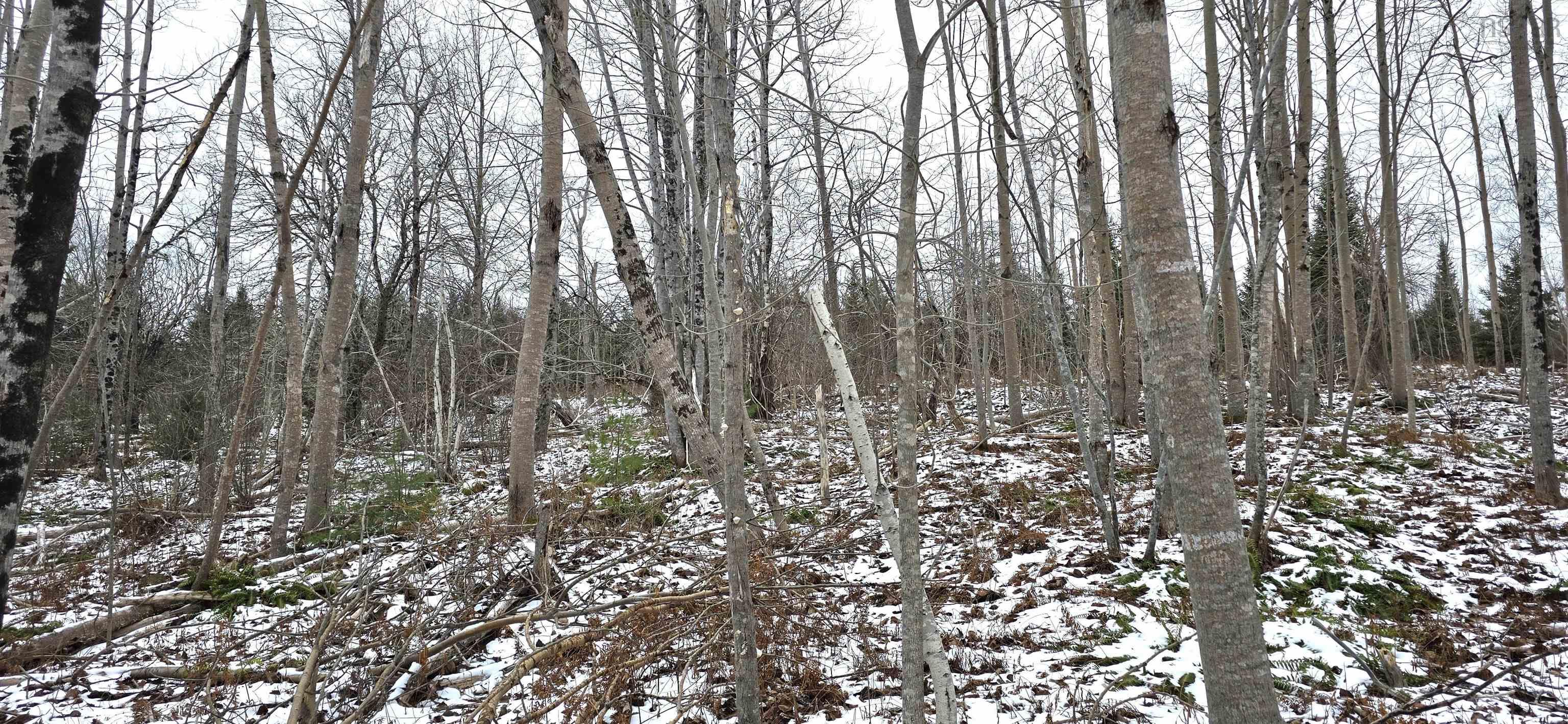 $30,000.00: Lot 102 East Clifford Road, East Clifford