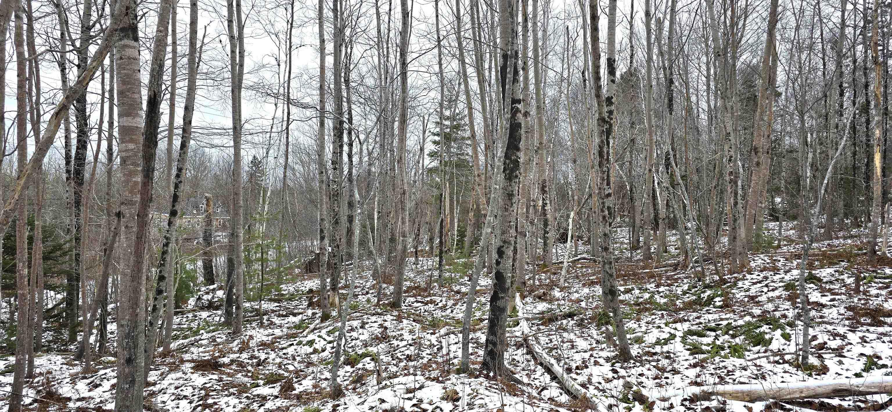 $30,000.00: Lot 102 East Clifford Road, East Clifford