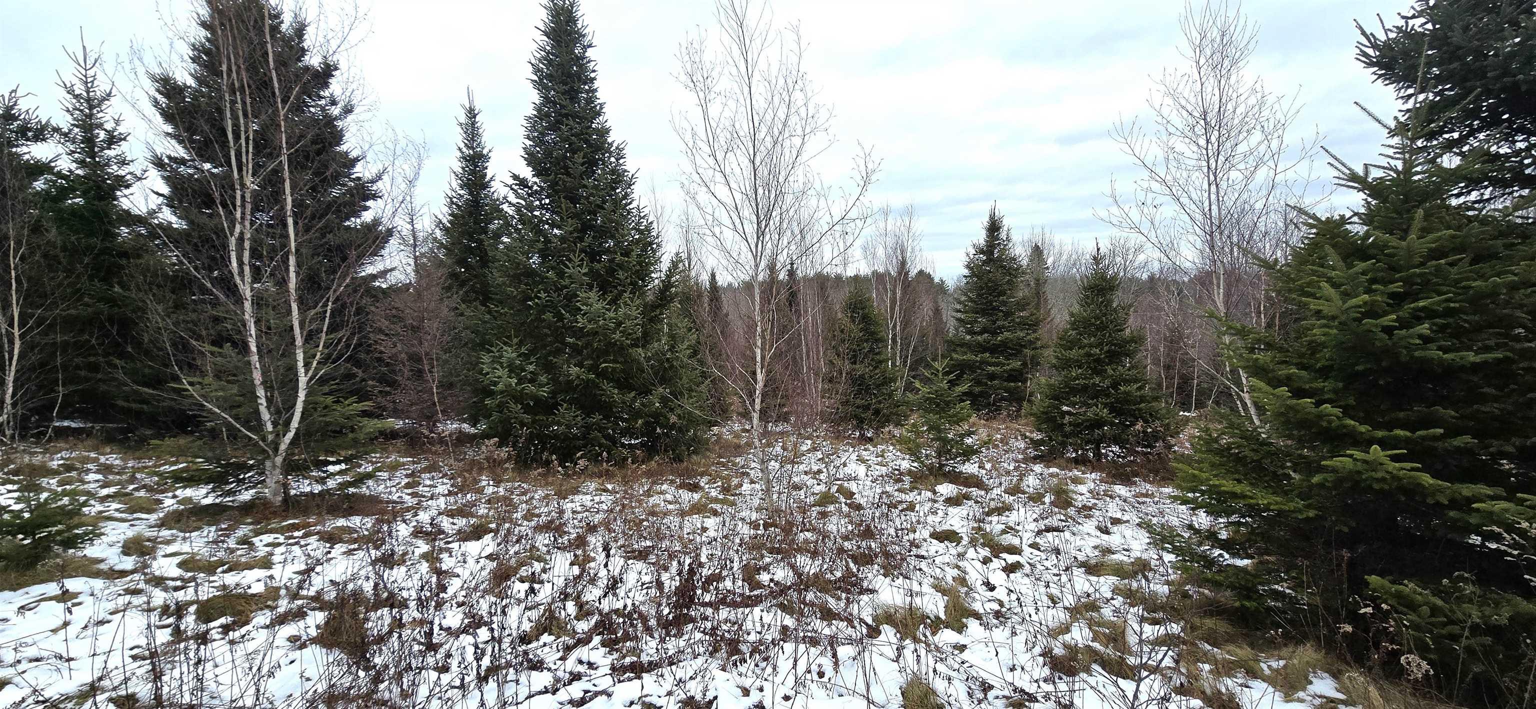 $30,000.00: Lot 105 East Clifford Road, East Clifford