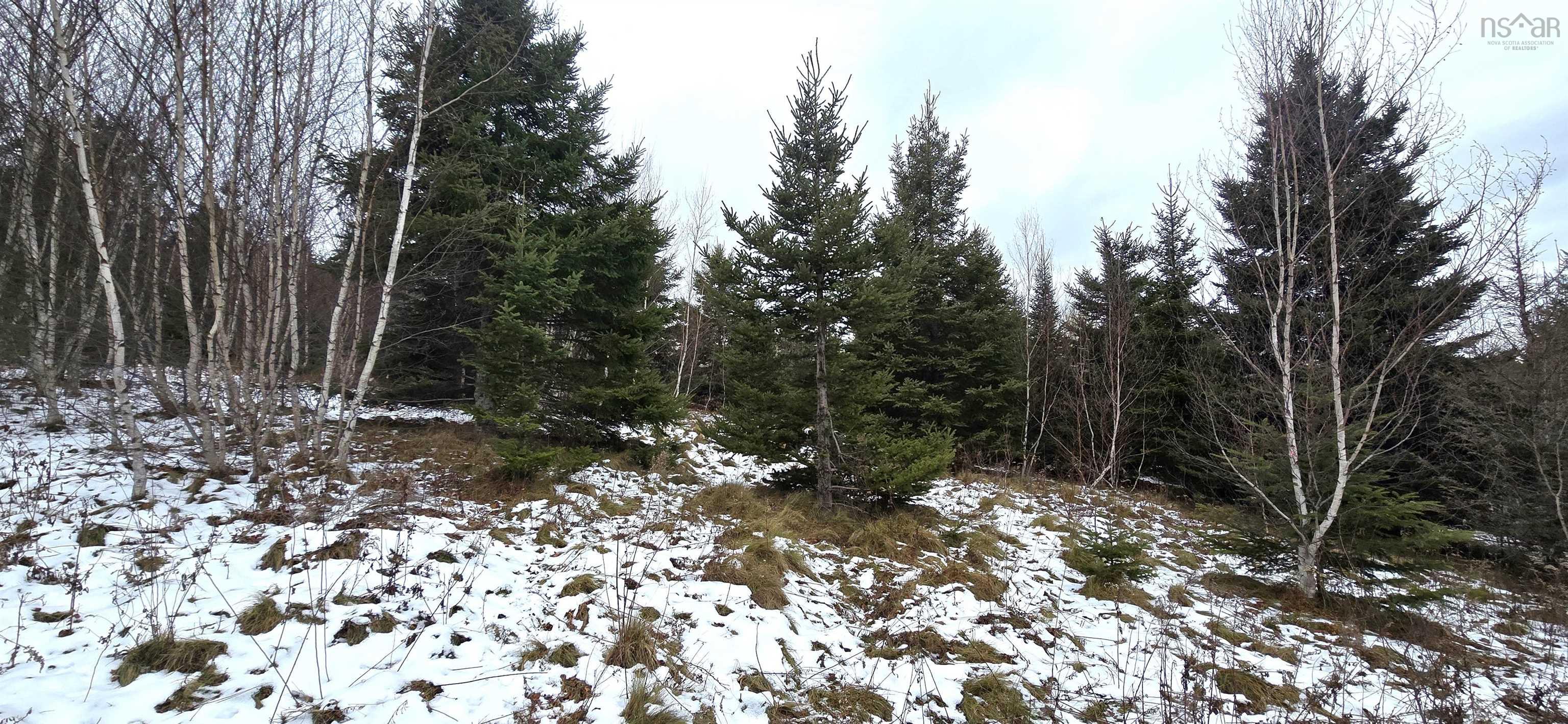 $30,000.00: Lot 105 East Clifford Road, East Clifford