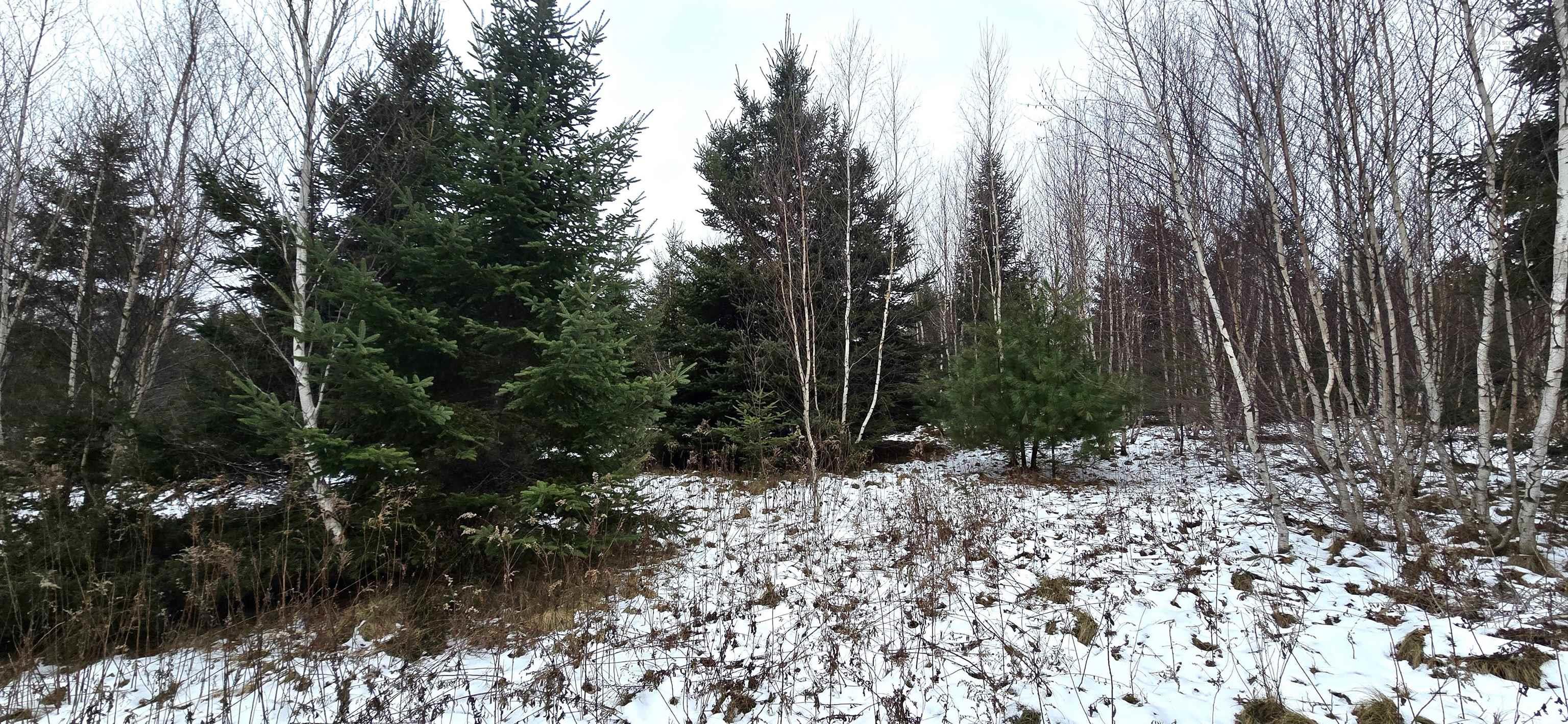 $30,000.00: Lot 105 East Clifford Road, East Clifford