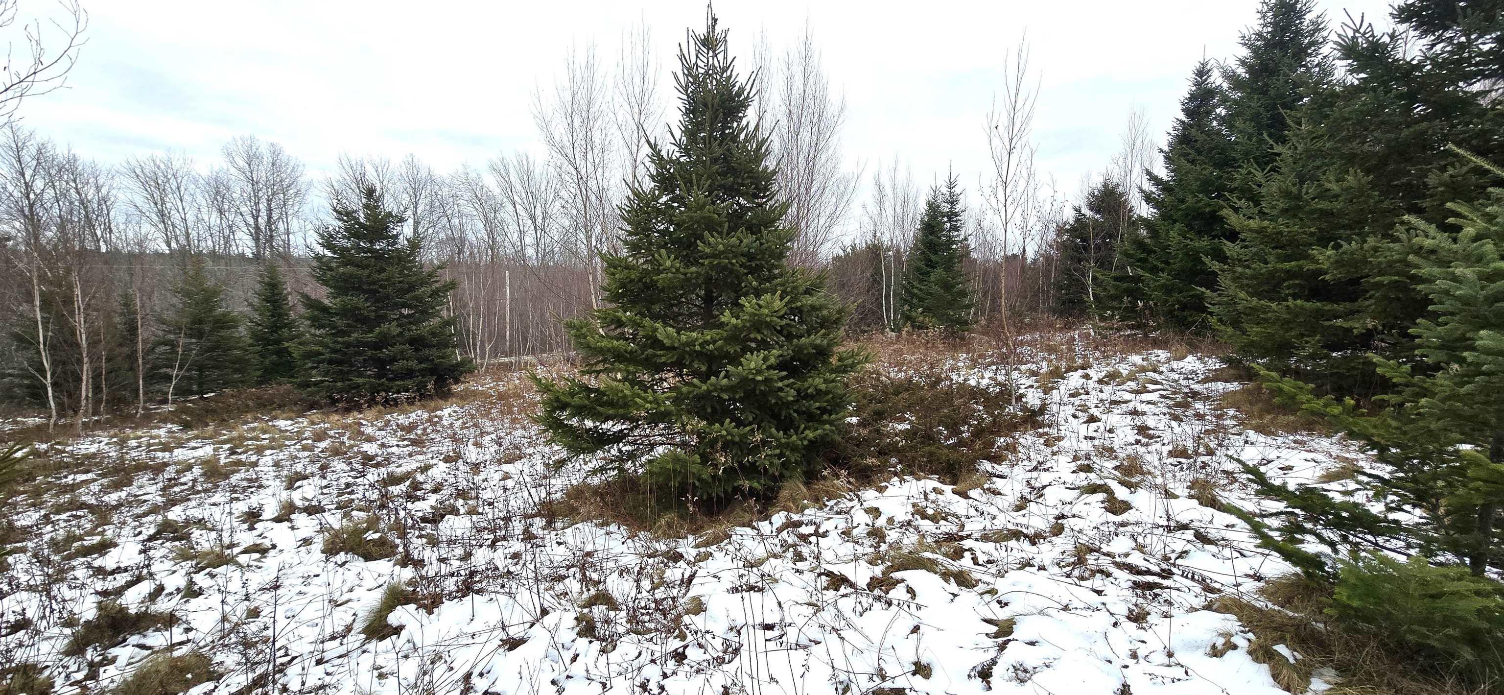 $30,000.00: Lot 105 East Clifford Road, East Clifford