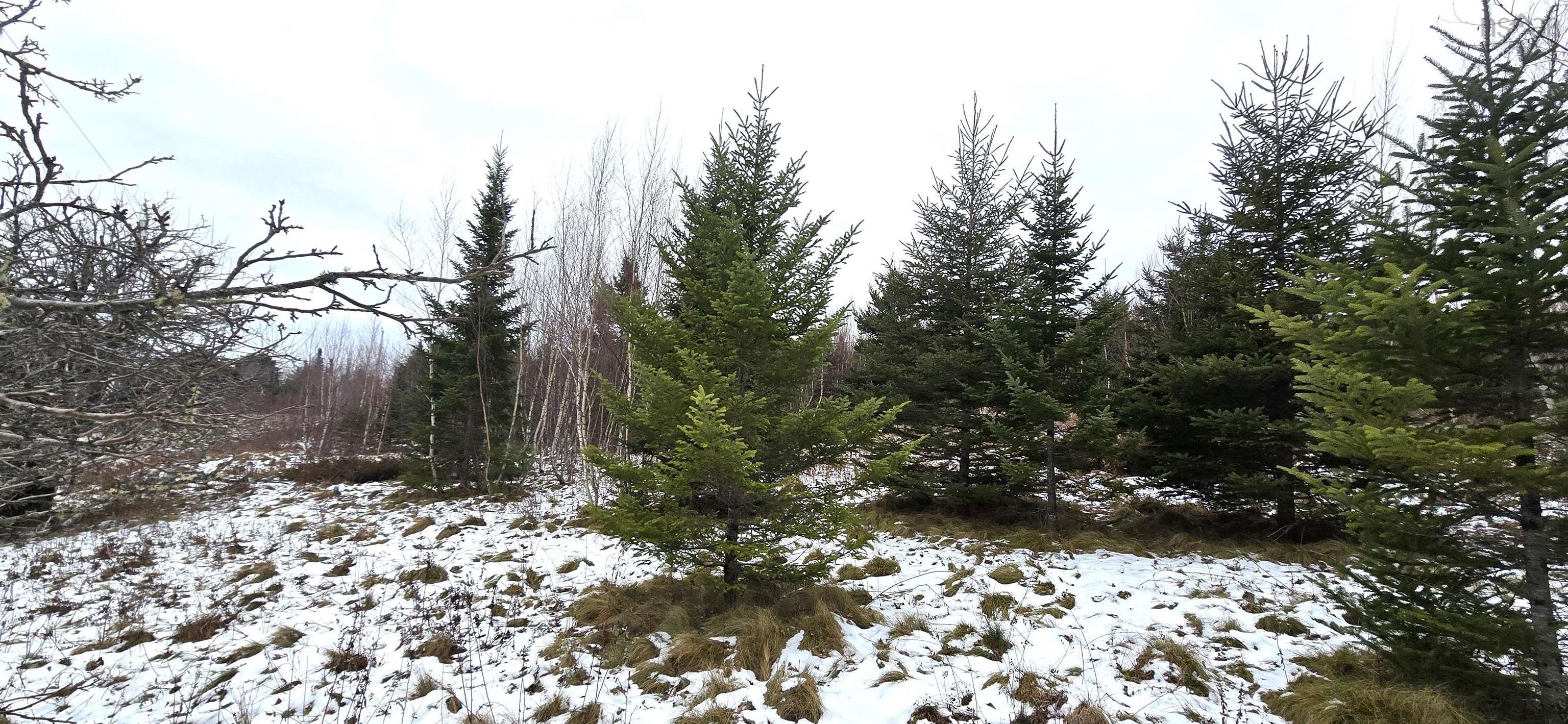 $30,000.00: Lot 105 East Clifford Road, East Clifford