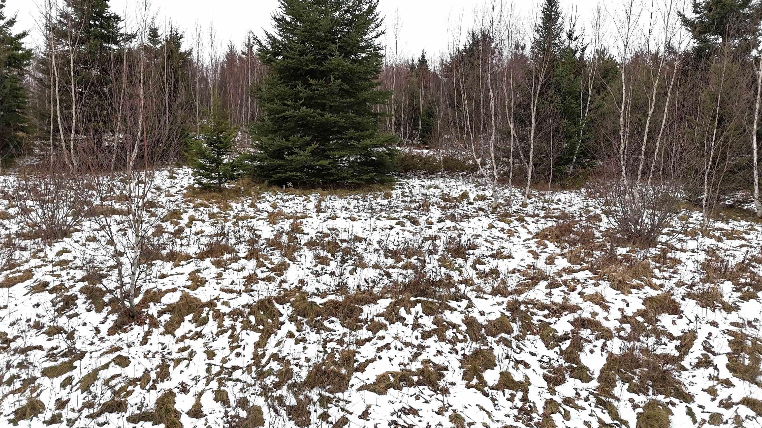 $30,000.00: Lot 105 East Clifford Road, East Clifford