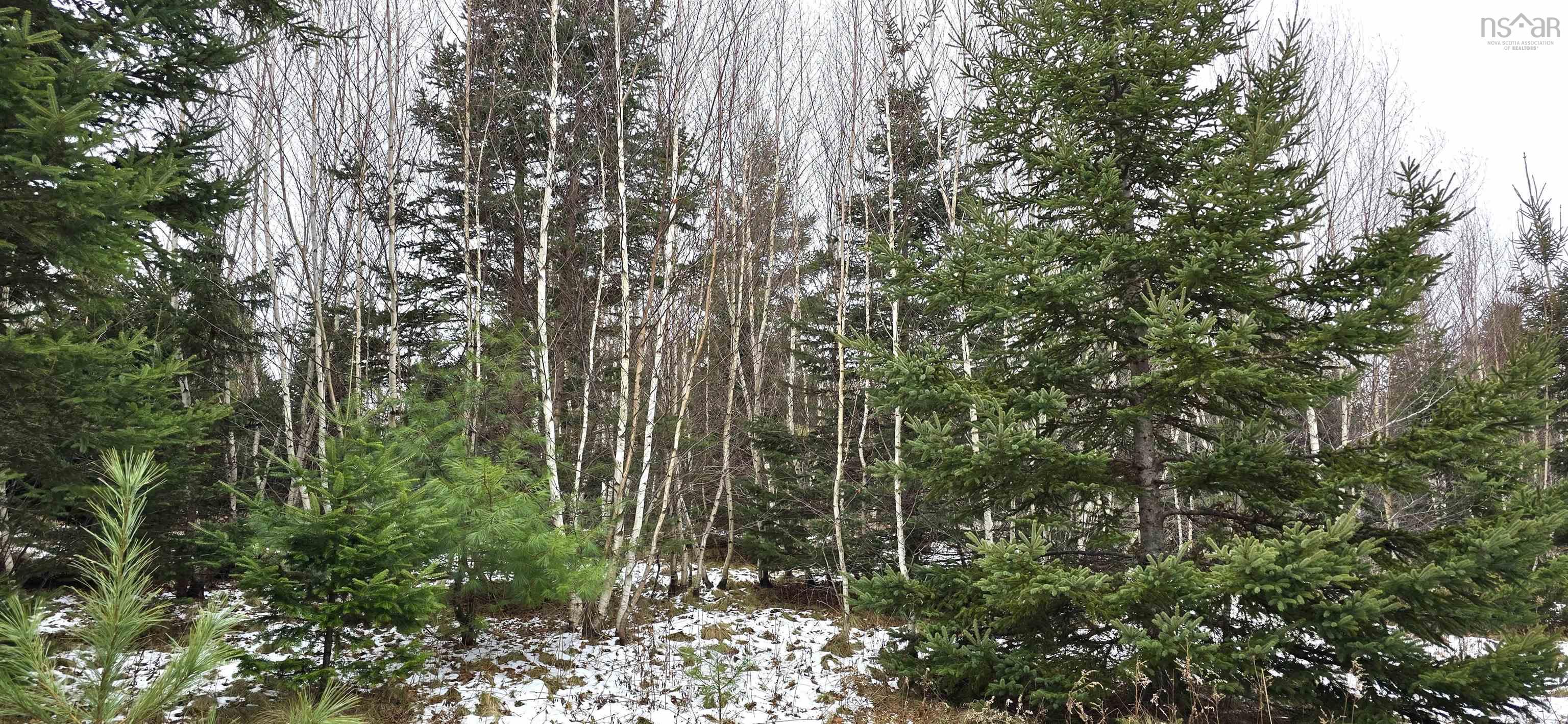 $30,000.00: Lot 105 East Clifford Road, East Clifford