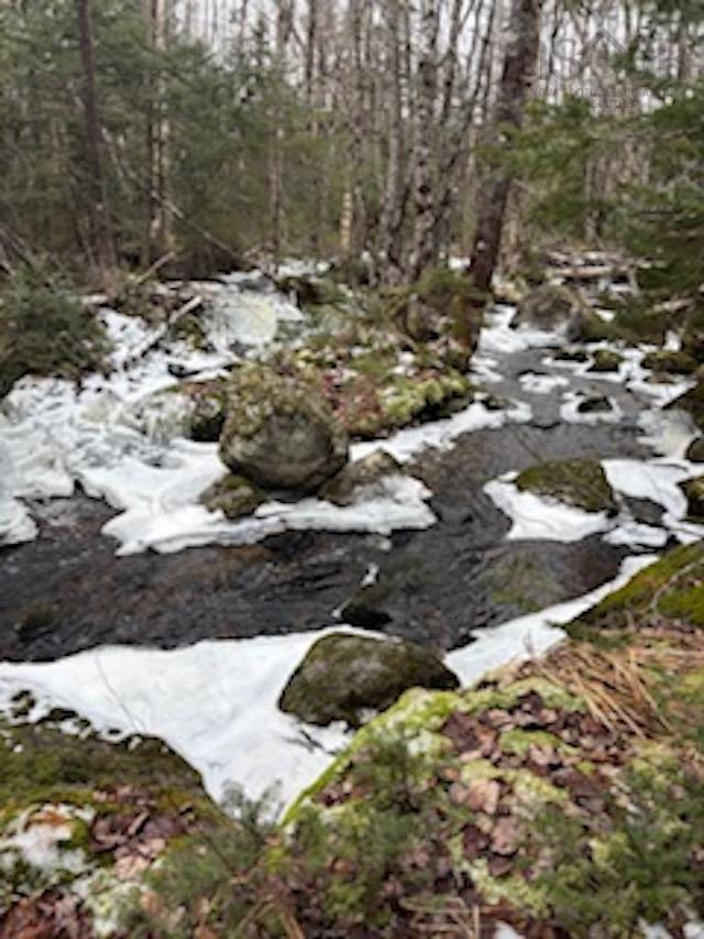 $39,900.00: Lot Beech Hill Road, Beech Hill