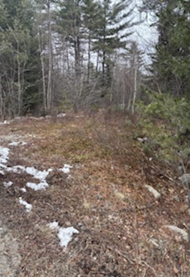 $39,900.00: Lot Beech Hill Road, Beech Hill