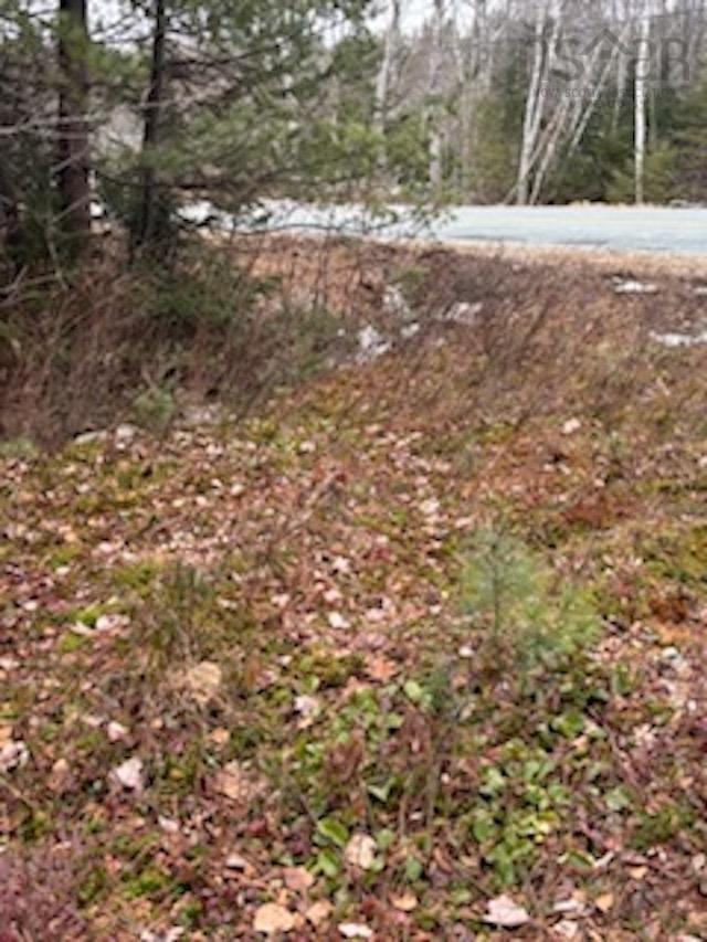 $39,900.00: Lot Beech Hill Road, Beech Hill
